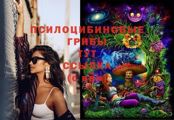 гашик Волоколамск