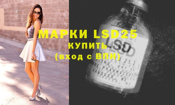 гашик Верея