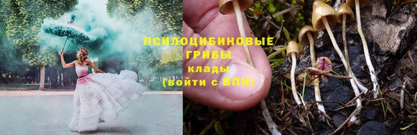 гашик Волоколамск