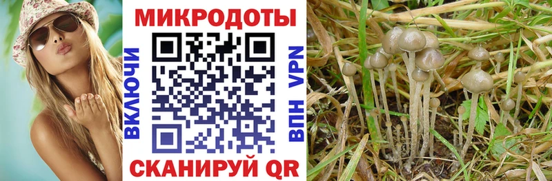 кракен ONION  Невель  Галлюциногенные грибы мухоморы 